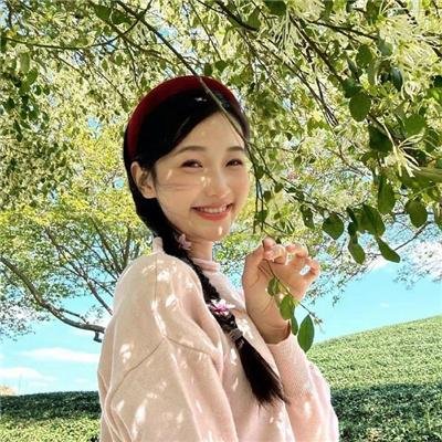 自由鸟